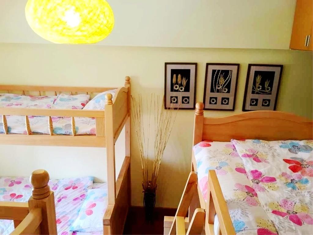 Kunming Cat Nest Female Youth Hostel Exterior foto